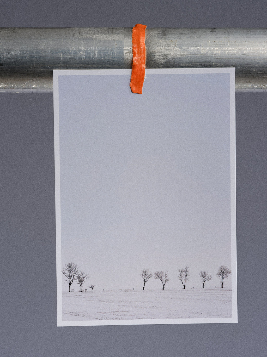 Postkarte: Acht Bäume im Schnee (Carolinensiel)