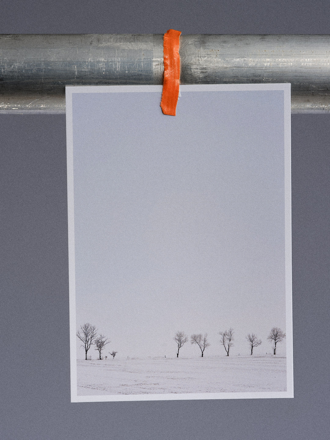 Postkarte: Acht Bäume im Schnee (Carolinensiel)