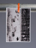 Postkarte: Bewegte Schafe im Schnee (Carolinensiel)